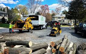 Best Firewood Processing and Delivery  in Fall River, MA